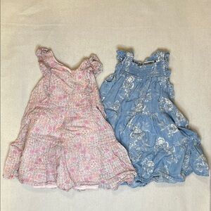 Floral Pink and Blue Dresses